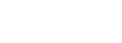 Zinnia Comunicación y MKT